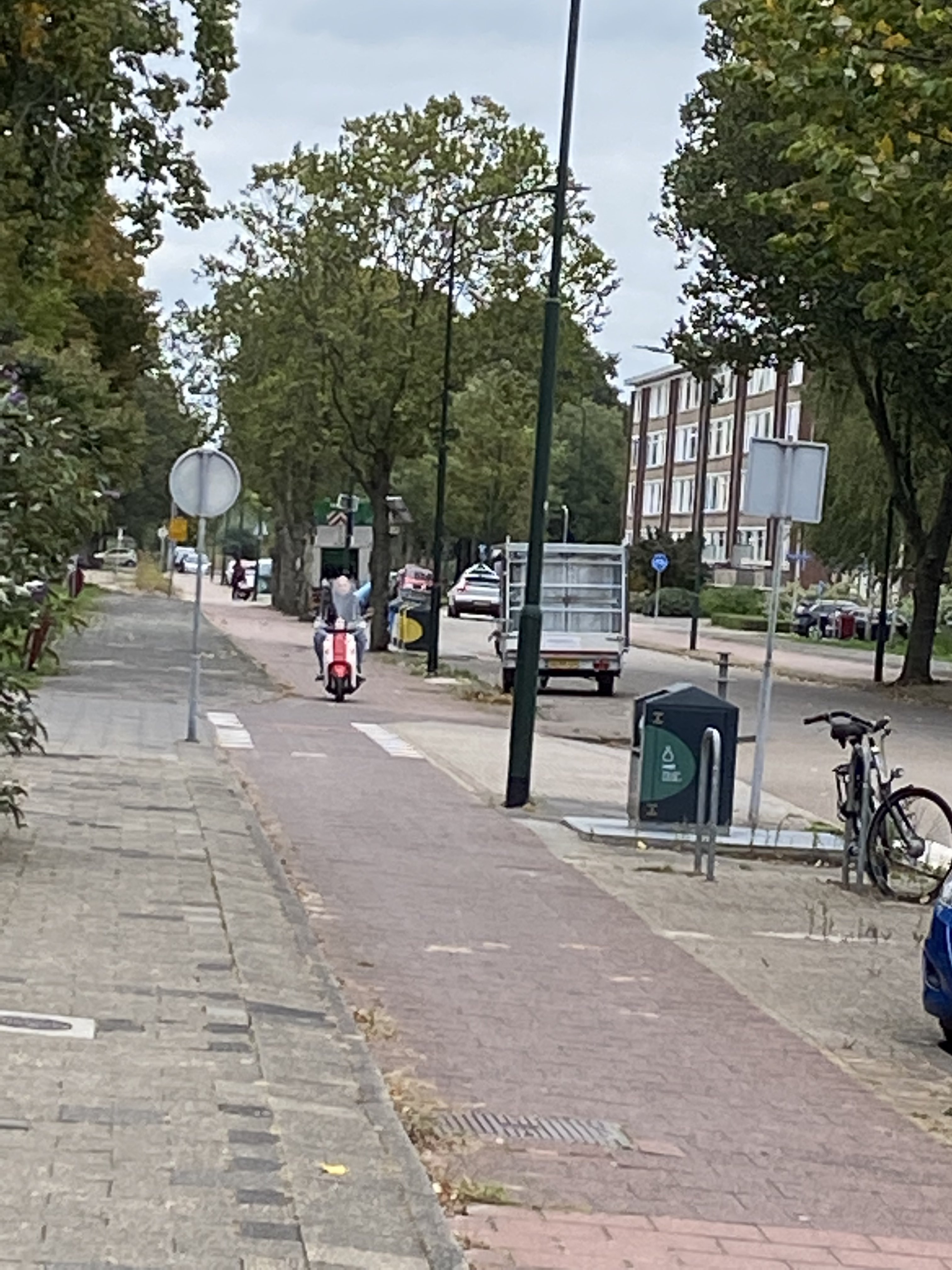 I saw it in the street Bruijnings Ingenhoeslaan, Voorburg Sorry that the pic is low quality. I panicked and tried to grab my phone as fast as possible